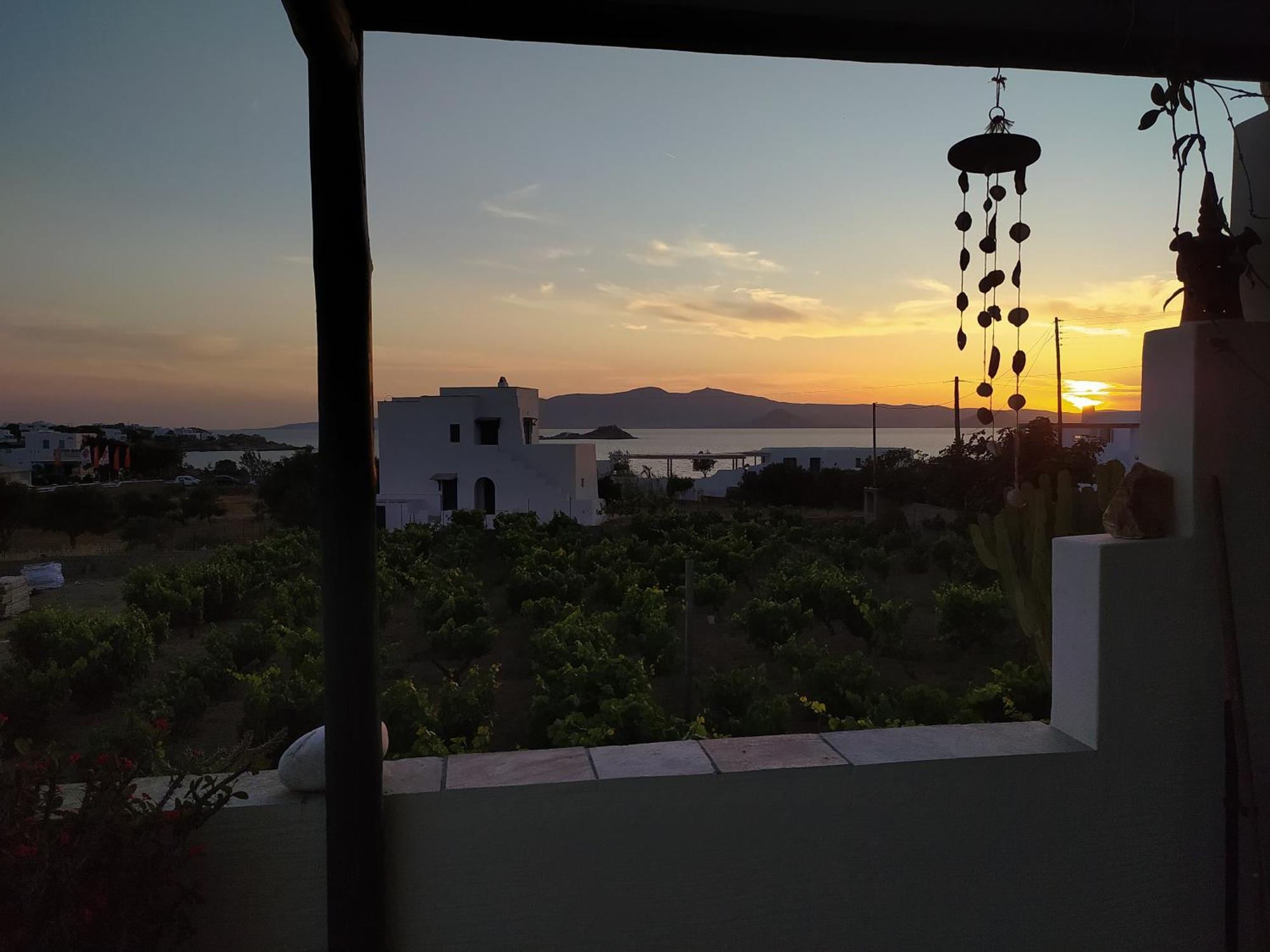 Matina'S Vineyard Hotel Mikri Vigla Værelse billede